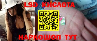 прущие грибы Партизанск