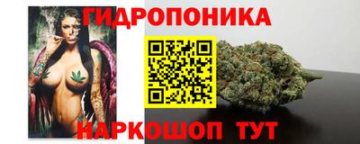 прущие грибы Партизанск
