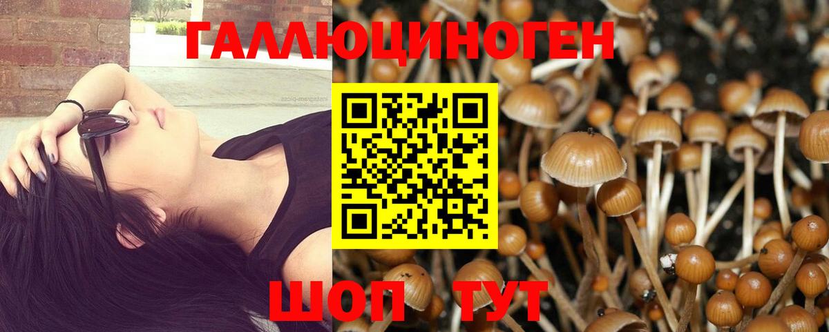 Псилоцибиновые грибы Magic Shrooms Пушкино
